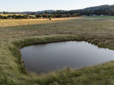 29 Mathews Lane, Bungendore