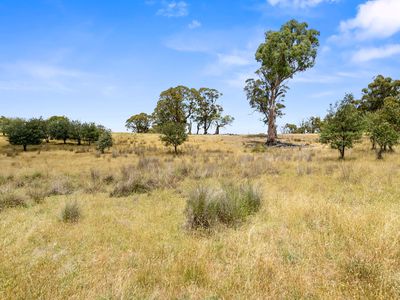 171 Boongarra Road, Laggan via, Crookwell
