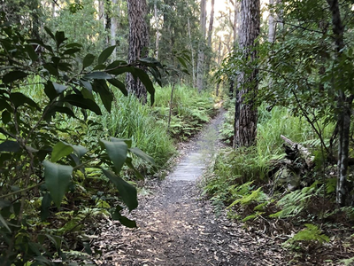 Lot Lot, 607 Iluka Crescent, Narrawallee