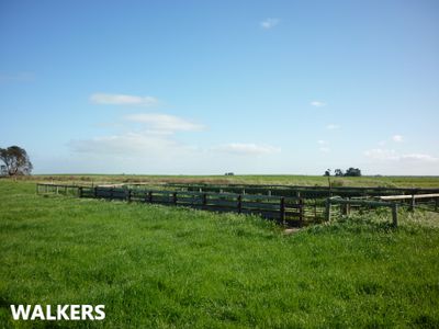 581 Mount Hope Road, Millicent