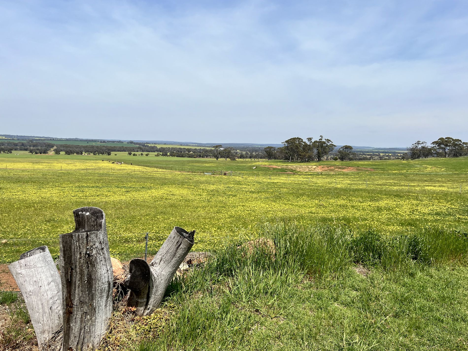 547 Bunmulling Road, Popanyinning