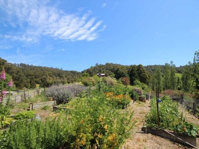 9 Bethels Road, Cygnet