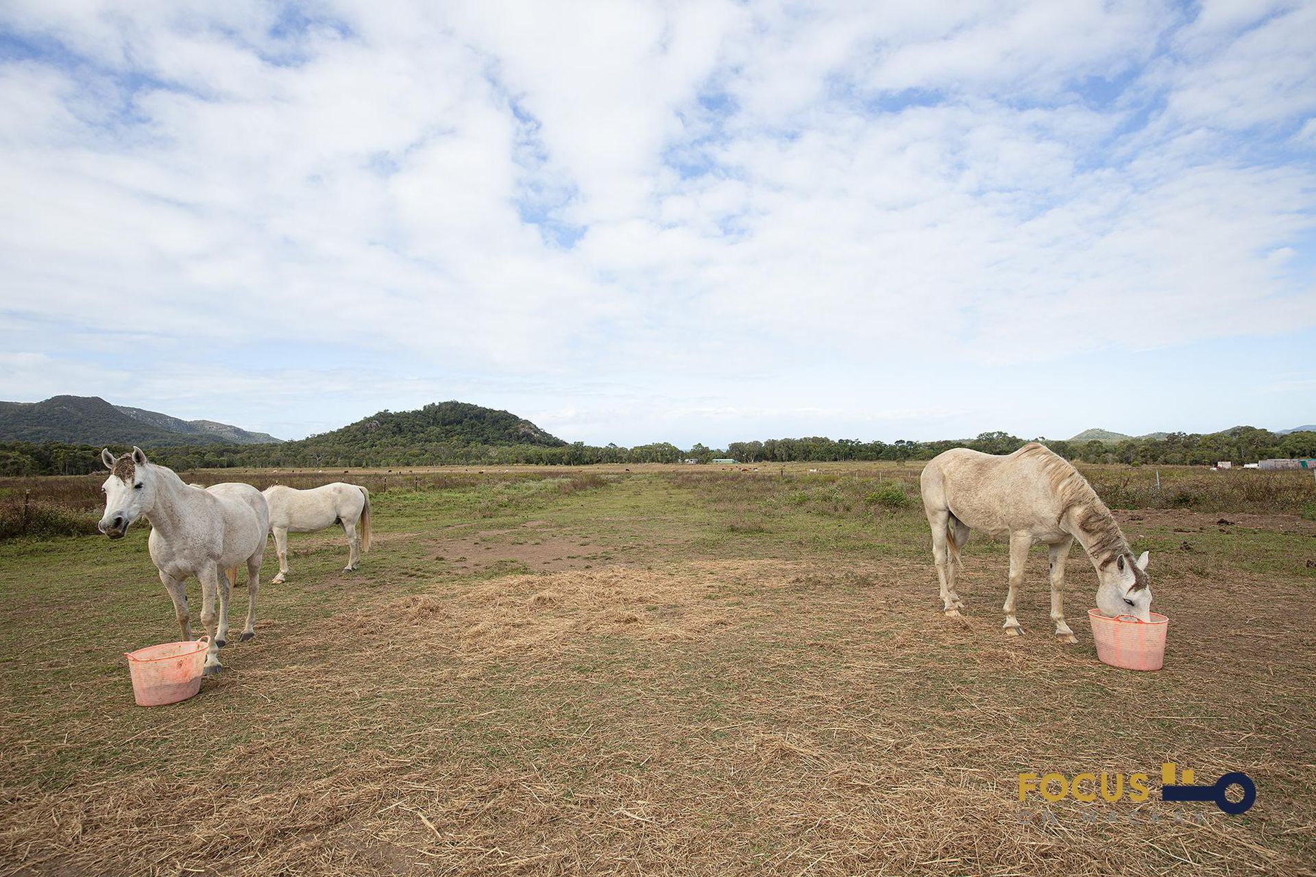 37 Old Hillsborough Road, Cape Hillsborough