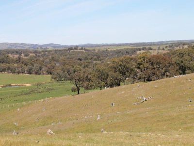 1045 Dairy Flat Road, Heathcote