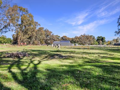 21 Boralma-Tarrawingee Road, Tarrawingee