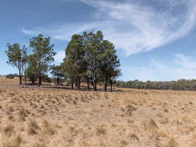 565 Dairy Flat Road, Heathcote