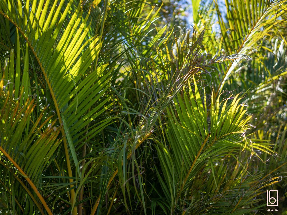 42 Ninth Avenue, Toukley