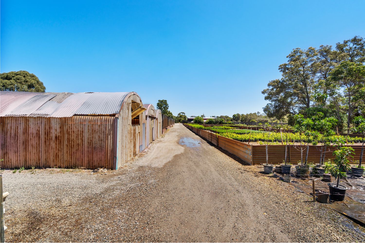 37 Landgren Road, Casuarina