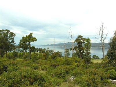 Cygnet Coast Road, Petcheys Bay