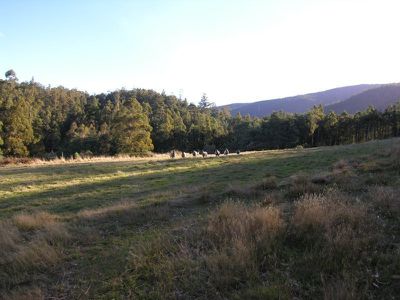 Palmers Road, Oyster Cove
