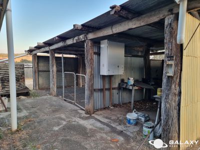 35 Pine Street, Kalpowar