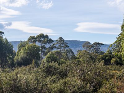 Lot 1, Lyell Highway, Derwent Bridge