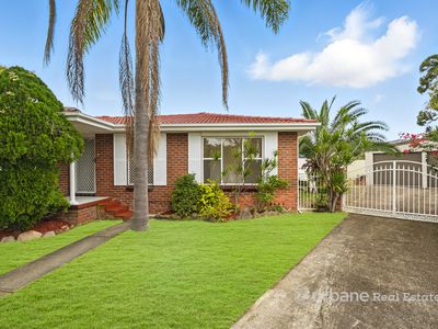 6 Tivy Place, Marayong