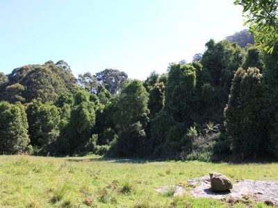 Lot 307 Lot 307 Carrington Road, Cambewarra