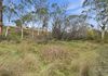 820 Ellendale Road, Ellendale