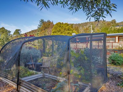 318 Bakers Creek Road, Lucaston