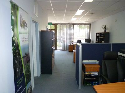 17 Darlot Street, Horsham