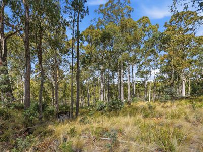 18 Little Spit Road, Lake Leake