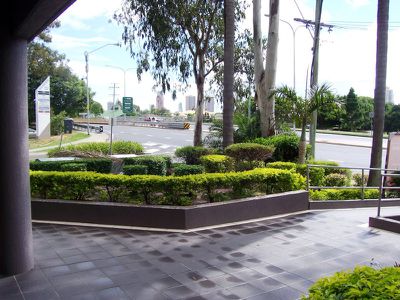 146 Bundall Rd , Bundall