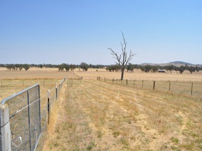 Urana Road, Jindera