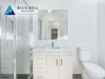 81 Dairyman Drive, Raymond Terrace