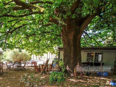 1195 Howes Creek Road, Mansfield