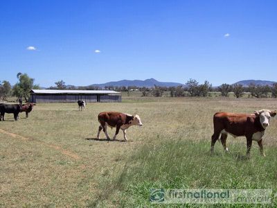 75 Glenara Road, Tamworth