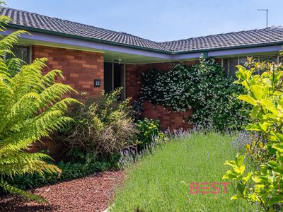 12 Somers Place, Blayney