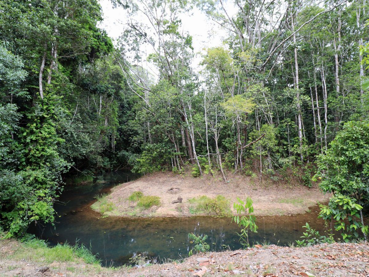 Danbulla
