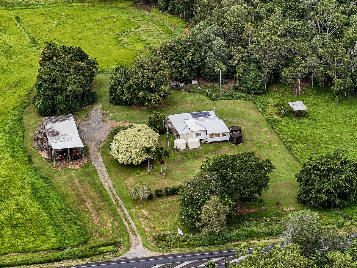 3475 BRUCE HIGHWAY, Kuttabul