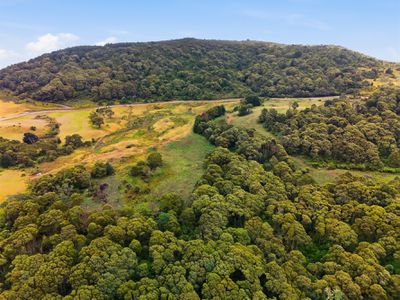 28834 Tasman Highway, Weldborough