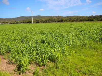 256 Hacks Ferry Road, Hacks Ferry