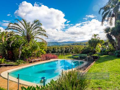 461 Repentance Creek Road, Goonengerry