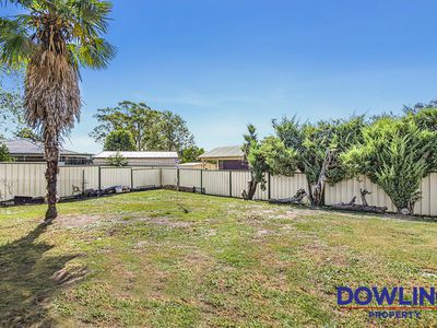 37 Tea Tree Drive, Medowie