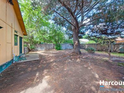 11 Nimbin Street, Narrabundah