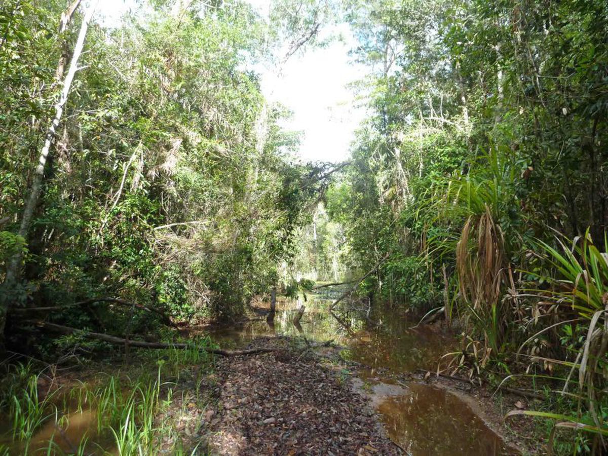 Yungaburra