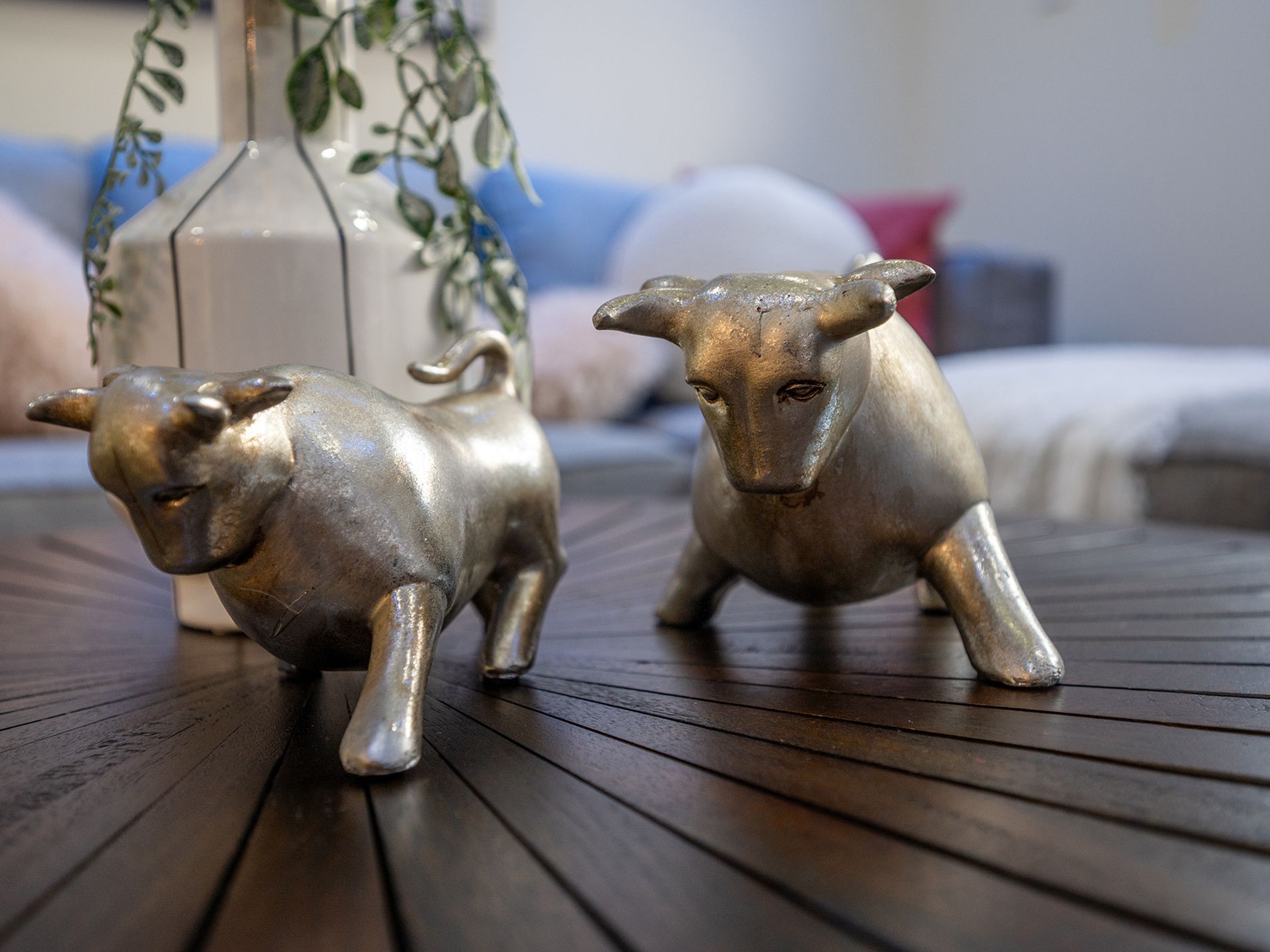 19 Wimbledon Drive, Piara Waters