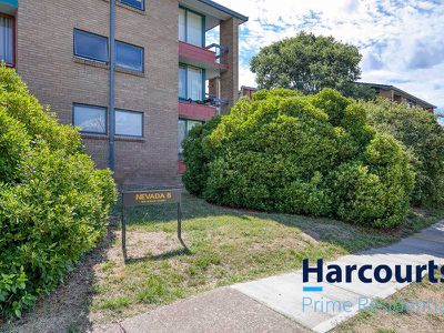 1B / 109 Knox Street, Watson