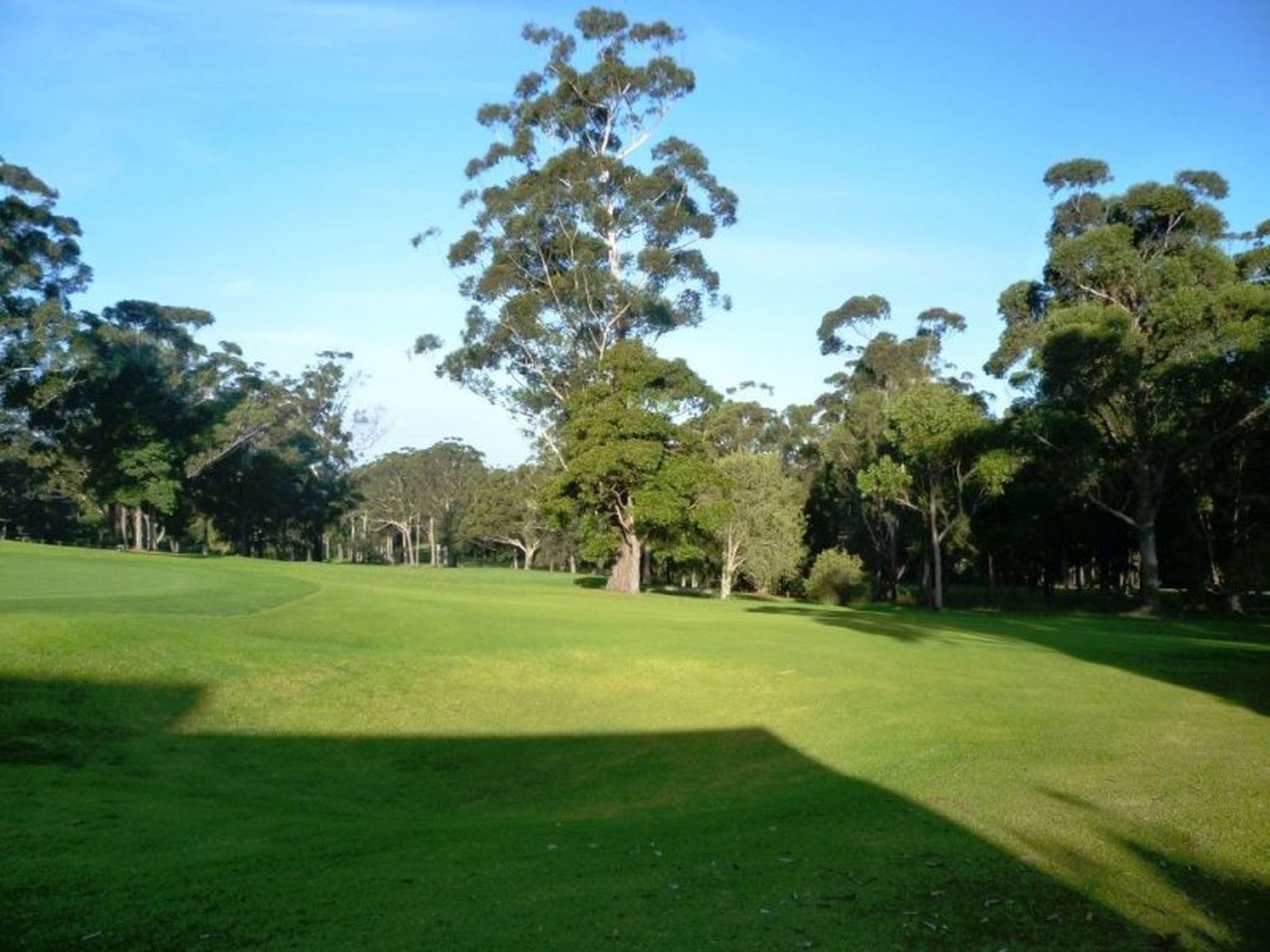 14 Everett Court, Mollymook