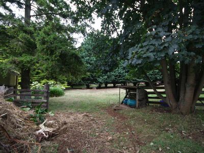 16901 Bass Highway, Wynyard