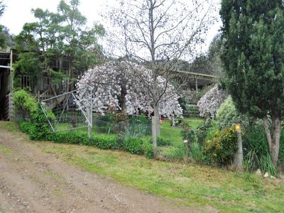 641 Sirls Road, Bethanga