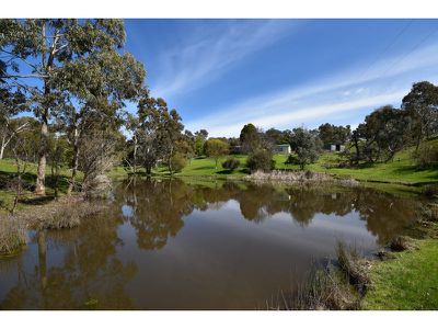 25 Sheoak Road, One Tree Hill