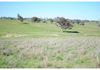 346 Avoca Road, Stuart Town