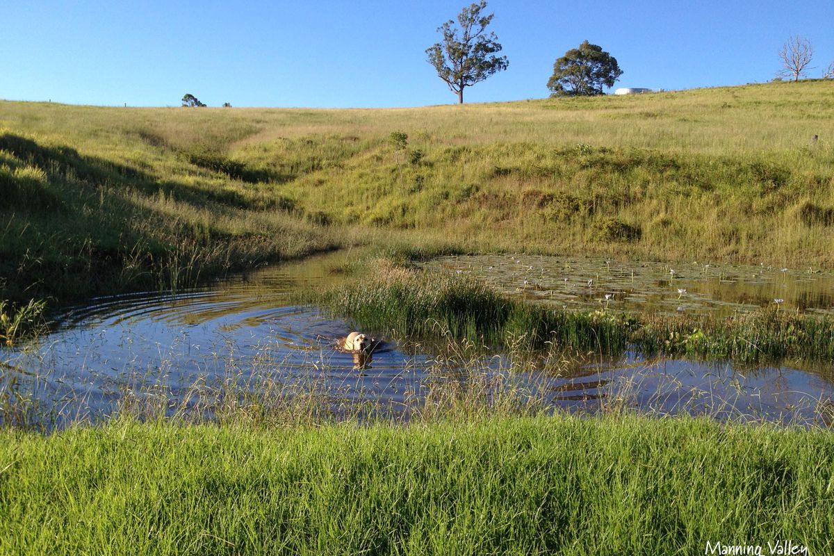 158 Somerset Road, Kimbriki