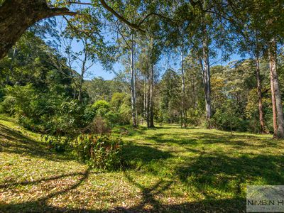 10 / 924 Blue Knob Rd, Nimbin