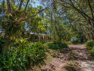447 Terania Creek Road, Terania Creek