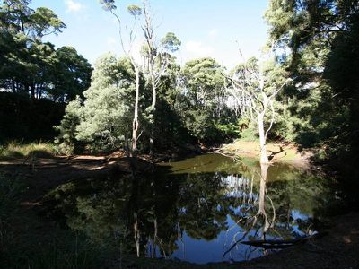 226 Hursts Road, Lileah