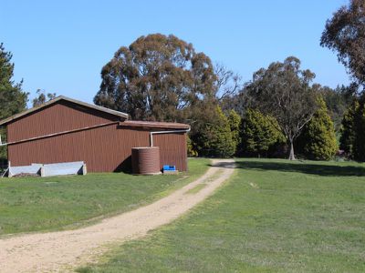 333 Curly Dick Road, Meadow Flat