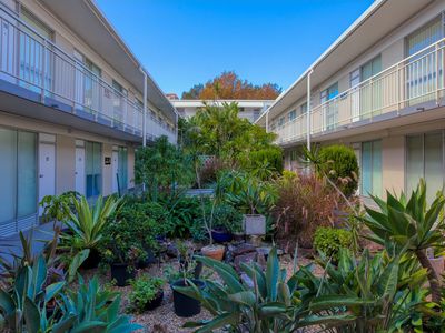 24 / 19-23 Forbes Street, Woolloomooloo