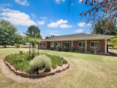 1047 Great Alpine Road, Tarrawingee